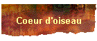 Coeur d'oiseau